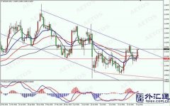 <b>AETOS艾拓思：美指疲软大宗商品持续多头整理</b>
