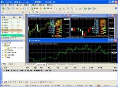 MT4是MetaTrader4的缩写202