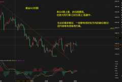 白银mt4平台下载因为就算