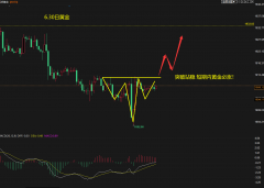 VIP客户可享受一对一仓位管理以及趋势单的布局外汇天眼