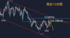 这个市场是公平的！tgmg外汇