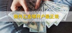 <b>投资者的资产不会受到影响—gmi外汇平台</b>