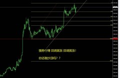 嘉盛官网mt4平台形态是高位横盘慢涨