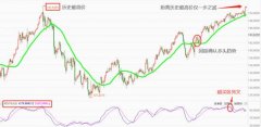 请勿将本报告视为唯一参