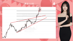 支持贵金属1秒查行情炒