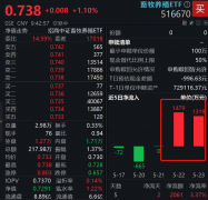 根据自身的风险承受能力