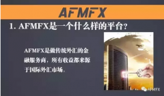 爱华外汇官网平台AFMFX公